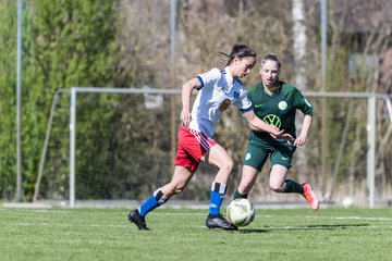 Bild 288 - wBJ Hamburger SV - WfL Wolfsburg : Ergebnis: 2:1